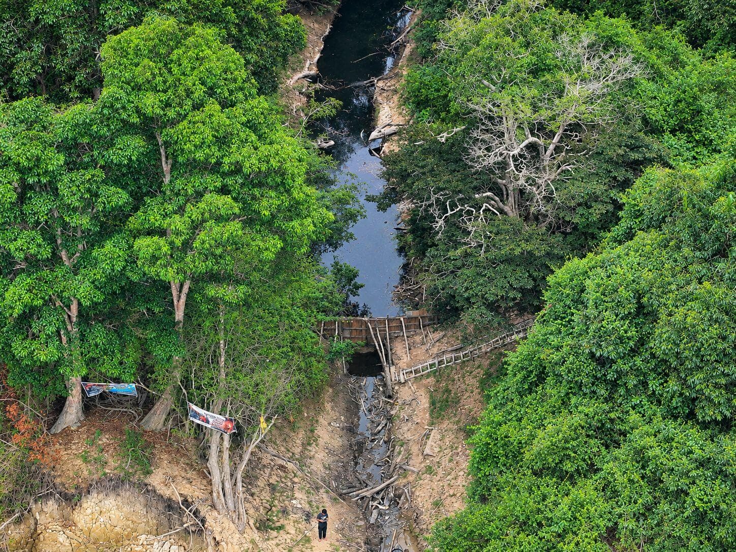 Aerial Forest Stream and Makeshift Dam.jpg