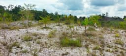 Restorasi Tanjung Riu