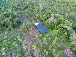 Agroforestry-Based Peatland Restoration in Hampangen