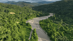 Resilience for People and Biodiversity
