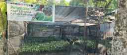 Good Regenerative Agriculture Practices in Arabela Landscape, Sintang - Melawi District, West Kalimantan