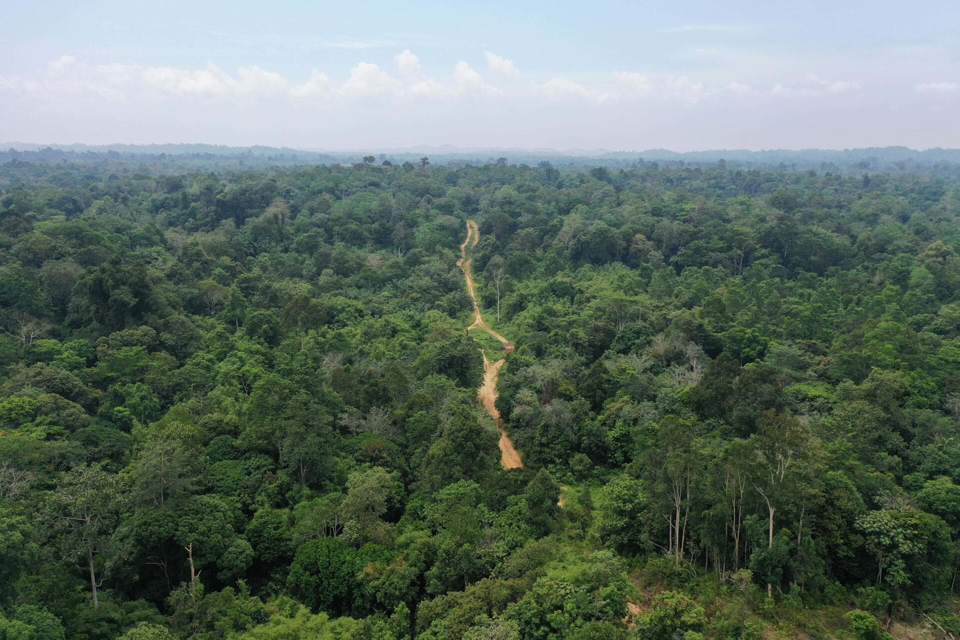 Reforesting Thirty Hills to Protect Biodiversity and Empowering Local Communities (WWF SG 2025)