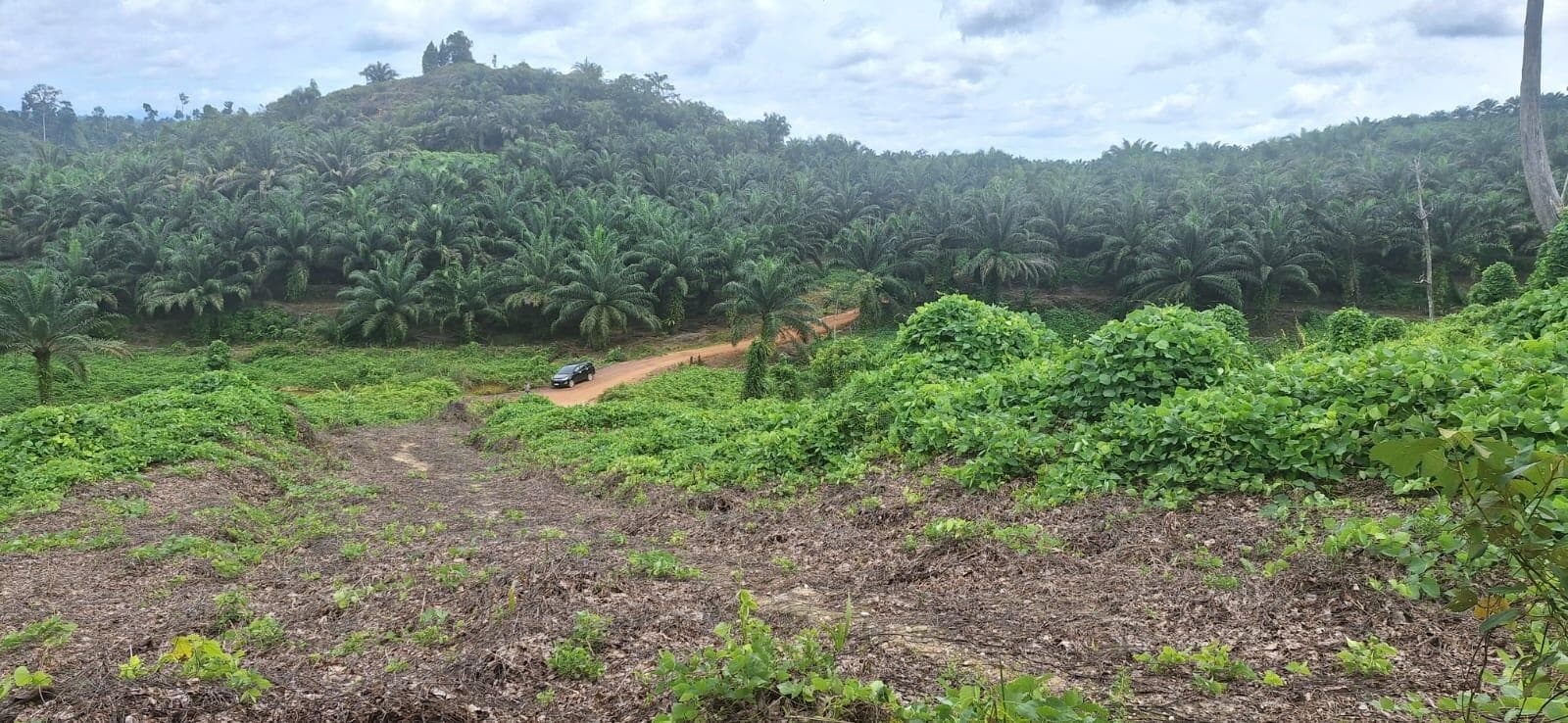 Srategi Jangka Benah - Katanjung