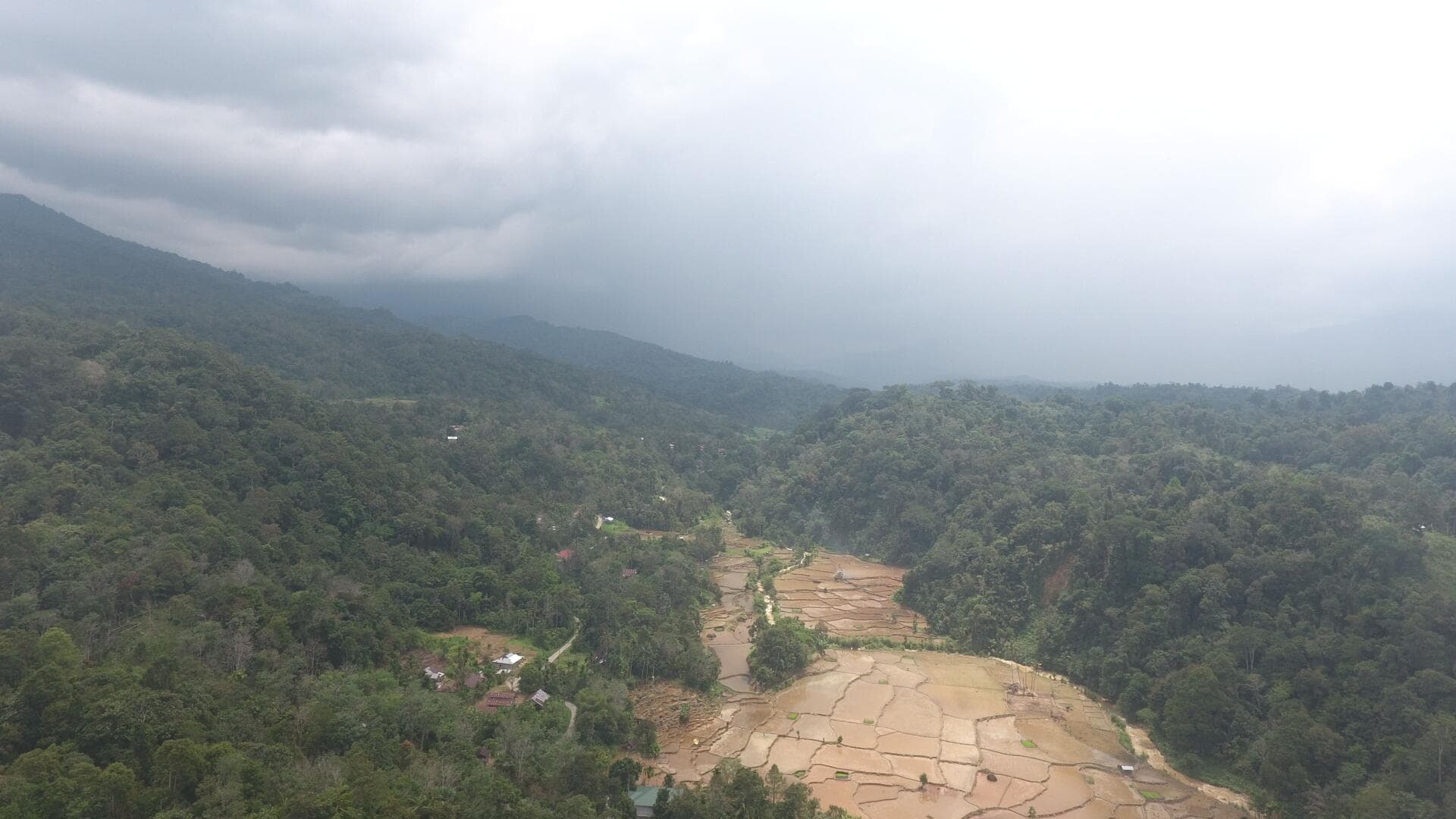 Landscape Restoration in the RBBBH Landscape to Strengthen Sumatran Tiger Habitat and Connectivity