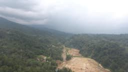Landscape Restoration in the RBBBH Landscape to Strengthen Sumatran Tiger Habitat and Connectivity