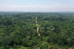 Elephant Protection and ELOC in PT ABT