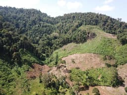 Pilot 3 - Faith-based Sumatran Tiger Conservation and Habitat Restoration