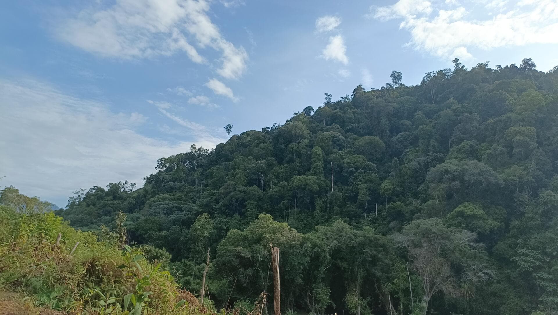Block - Kayu Bunga