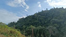 Block - Kayu Bunga