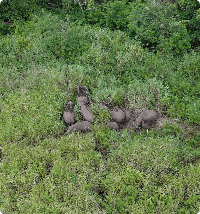 Reconnect+ : More Than Just Restoration