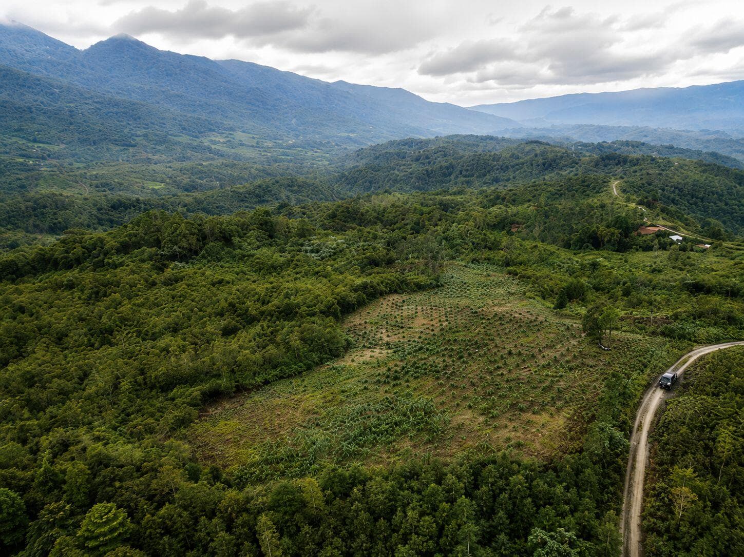 1 Home 1 Tree Program (Call To Action: Restoration for Connectivity)