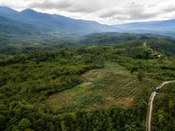 1 Home 1 Tree Program (Call To Action: Restoration for Connectivity)