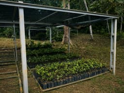 Adopt A Tree at PT. ABT