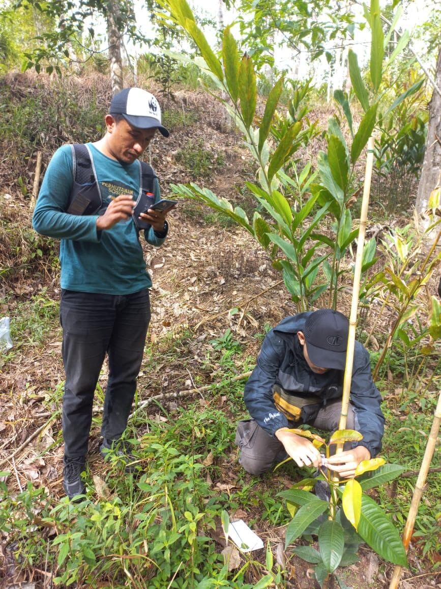 WhatsApp Image 2025-07-21 at 09.45.55.jpeg