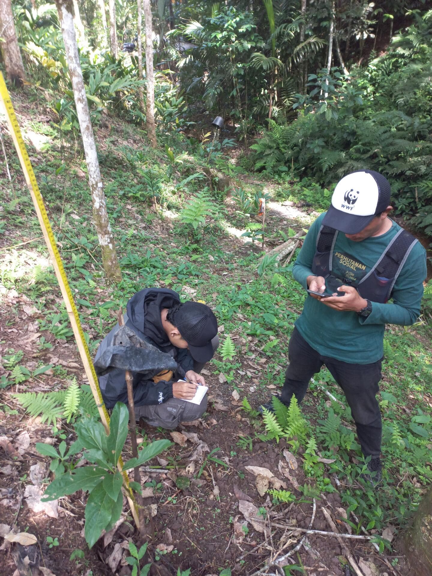 WhatsApp Image 2025-07-21 at 09.51.45.jpeg