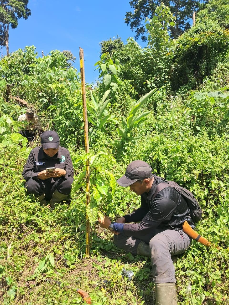 WhatsApp Image 2025-11-03 at 19.51.08_b4c78d0a.jpg