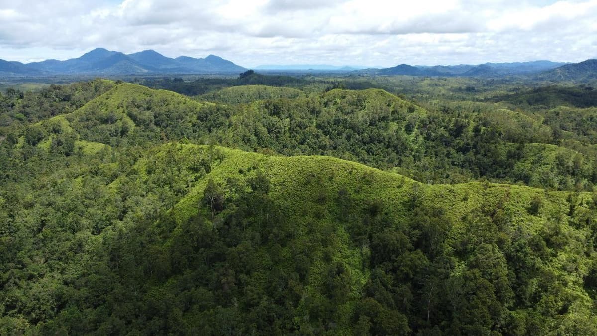 Block 1 - HKL - Kelayam