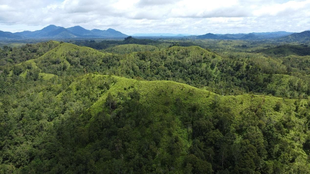 Block 1 - HKL - Kelayam