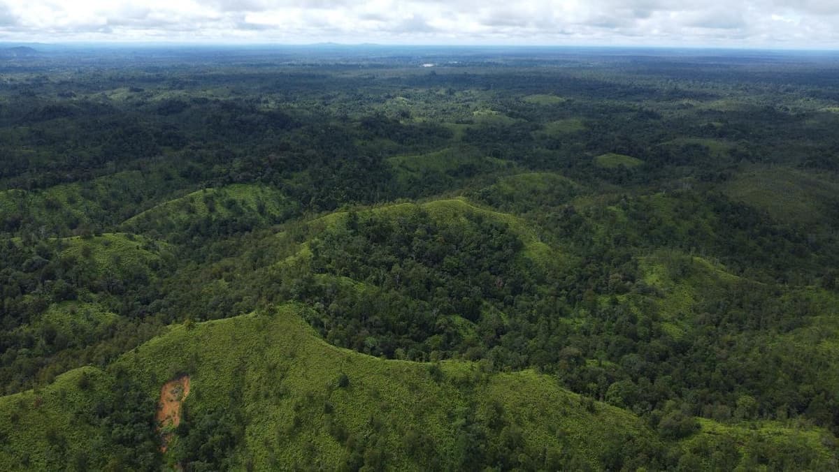 Block 2 - HKL - Ngaung Keruh