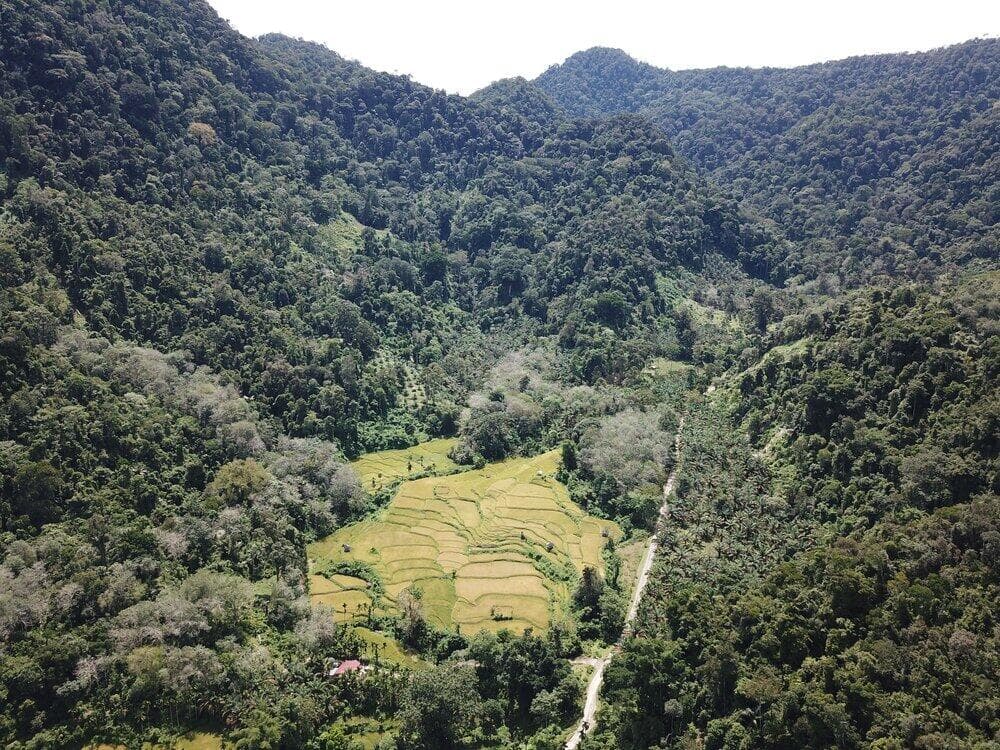 Pilot 1 - Faith-based Sumatran Tiger Conservation and Habitat Restoration