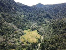 Pilot 1 - Faith-based Sumatran Tiger Conservation and Habitat Restoration