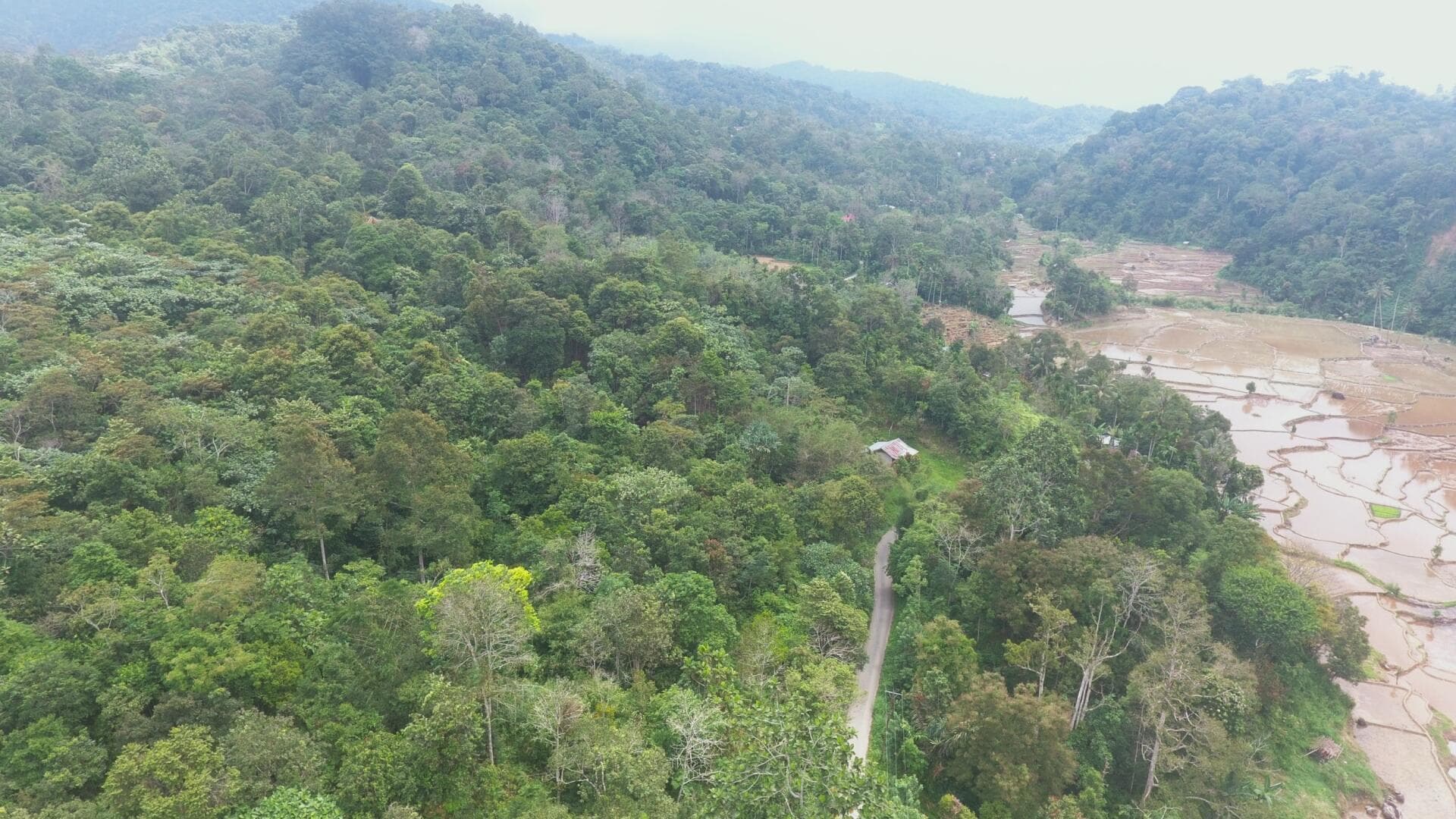 Pilot 4 - Faith-based Sumatran Tiger Conservation and Habitat Restoration