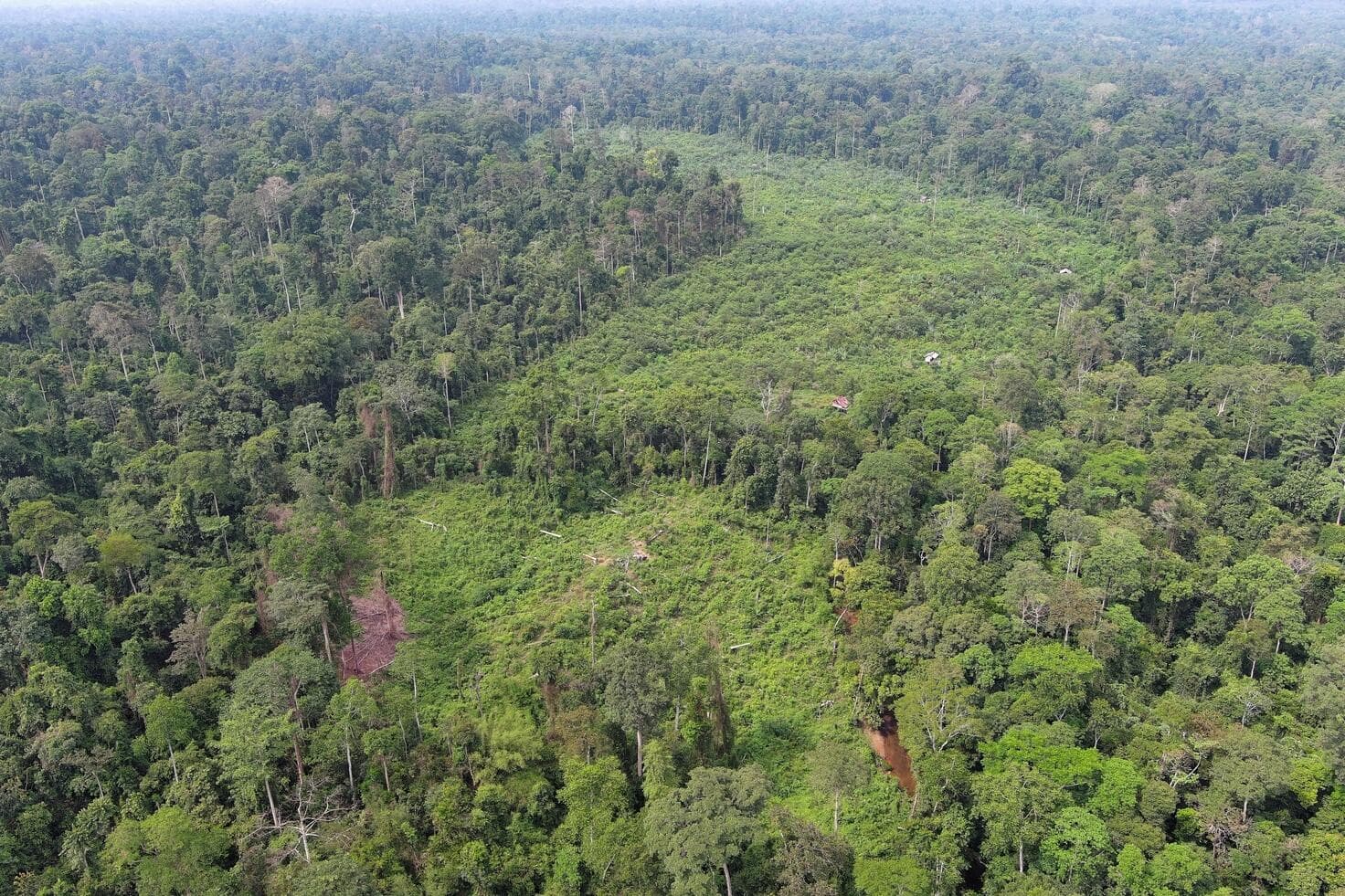 Investment in Climate & Biodiversity for Creating Positive Impact for The Planet