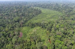 Investment in Climate & Biodiversity for Creating Positive Impact for The Planet