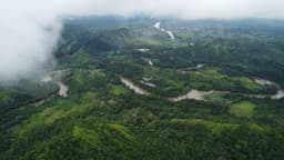 Restoration of the Labian Leboyan Corridor Labian Leboyan - MHA Sadap