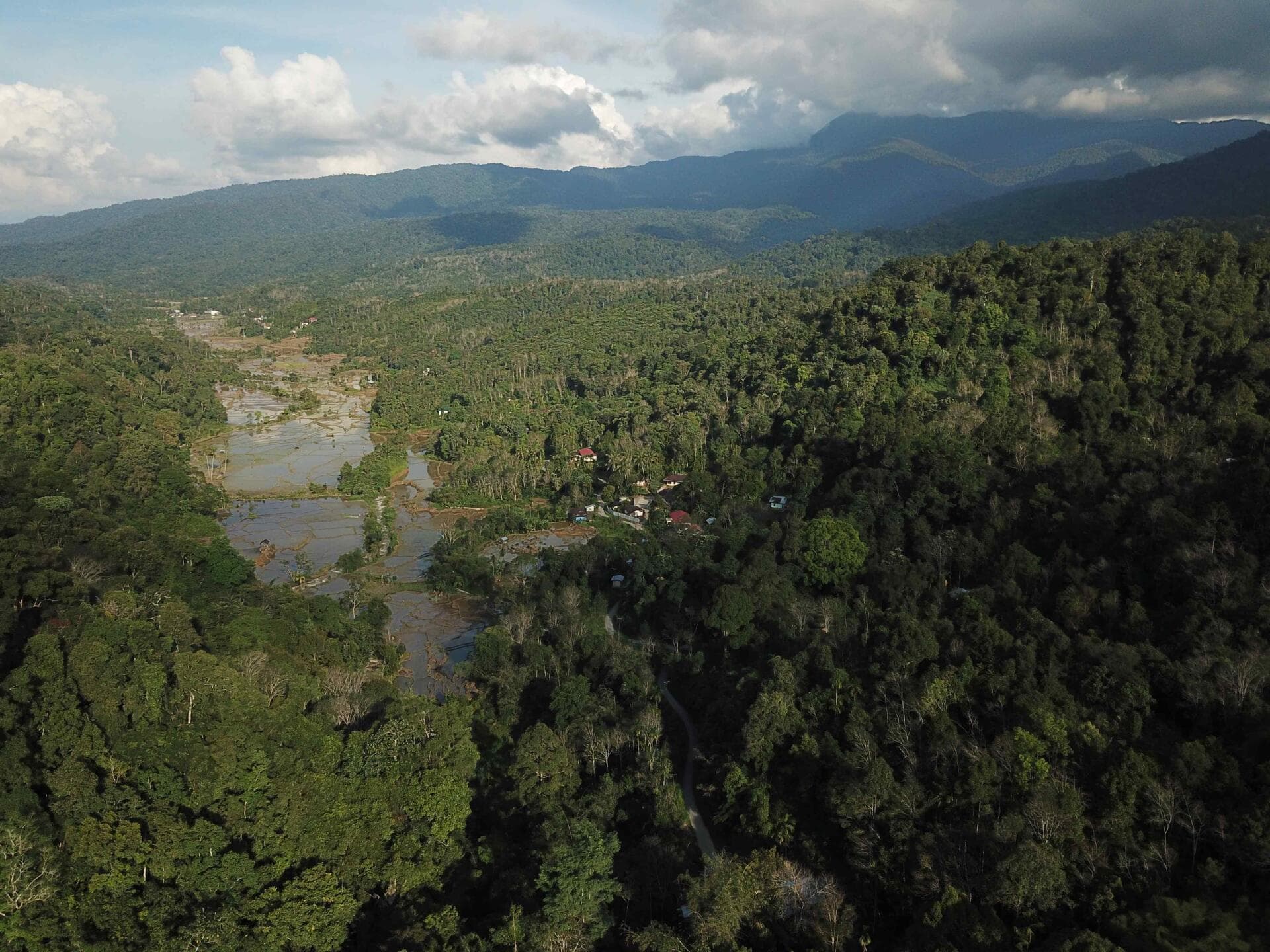Rehabilitation in Sungai Abu Village base on Synecoculture Concept