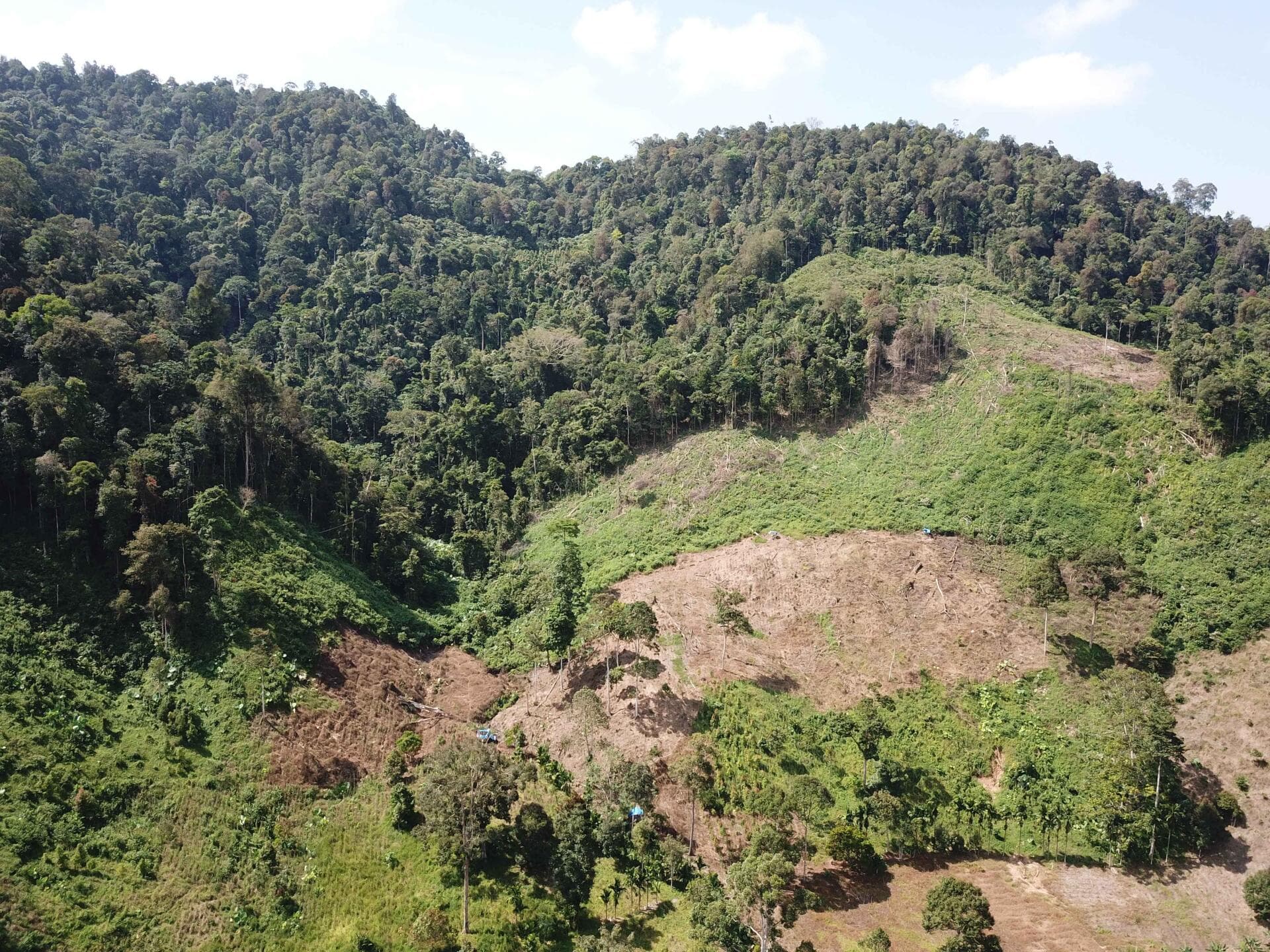 Pilot 3 - Faith-based Sumatran Tiger Conservation and Habitat Restoration