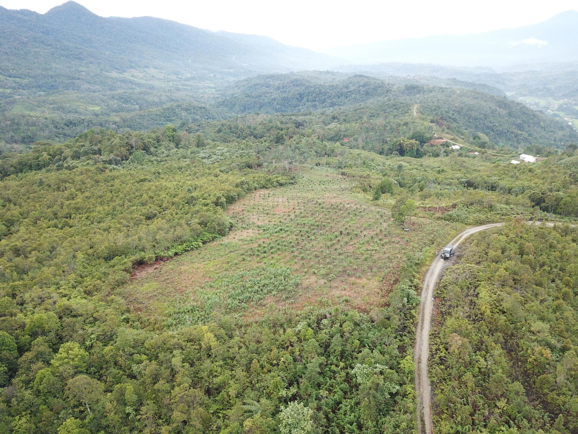 1 Home 1 Tree” Program (Call To Action: Restoration for Connectivity)