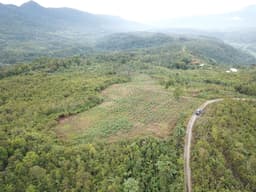 1 Home 1 Tree” Program (Call To Action: Restoration for Connectivity)